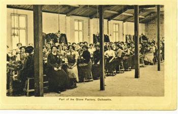 Glove Factory