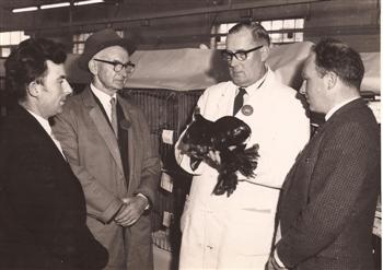 Judging 1970