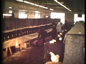 The Bantam Show at the Lybro